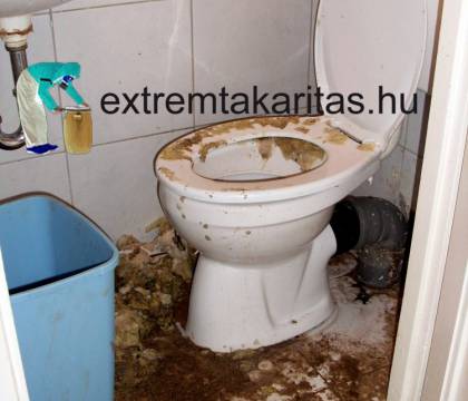 Elárasztott lakás az eldugult wc után