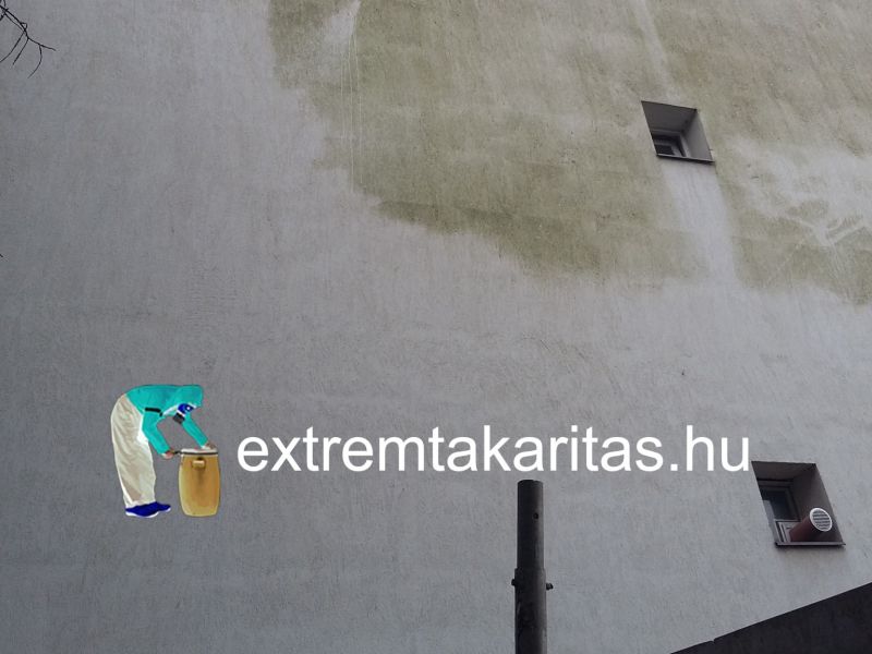 Környezetkímélő homlokzat tisztítás